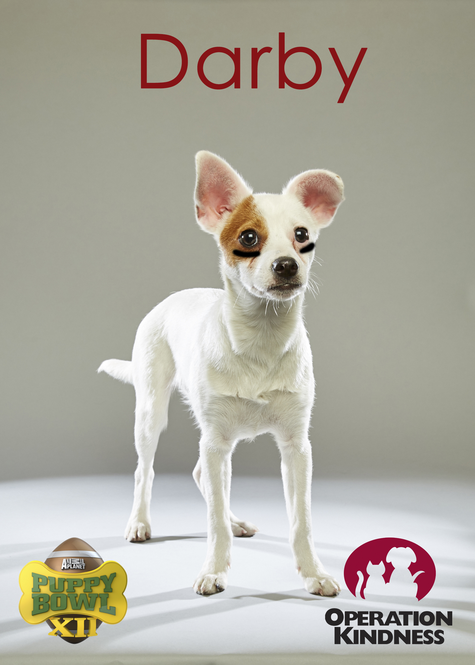 Darby Puppy Bowl pix.jpg