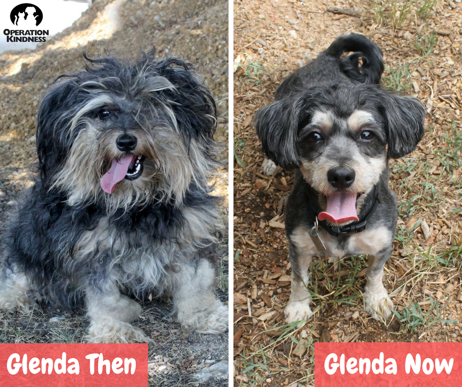 Glenda Before and After