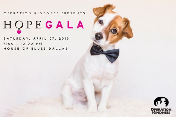 11th Annual Hope Gala