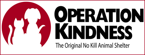 Logo for newsletter banner.jpg