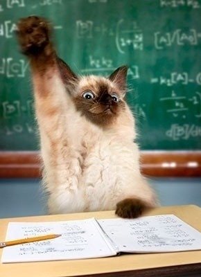 SmartyCat.jpg