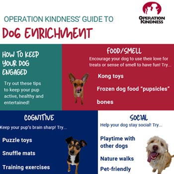 Dog Enrichment Printable