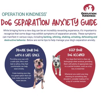 Separation Anxiety Printable