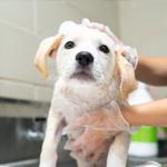 Spa Day