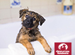 Spa Day e-Card
