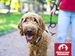 Enrichment Package e-Card