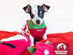 Donation e-card - Holiday Puppy 2024